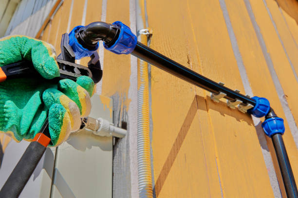 Best Local Plumber Services  in Rolla, ND